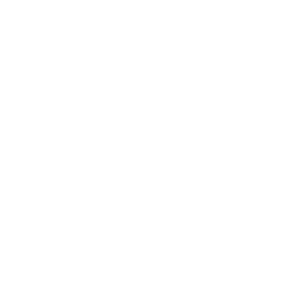 snv logo white